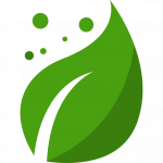 Grüne Blüte illustrated